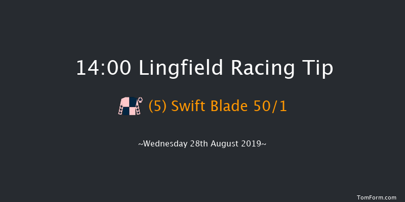 Lingfield 14:00 Handicap (Class 6) 12f Mon 19th Aug 2019
