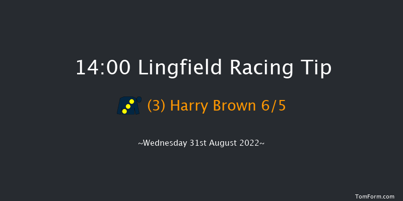 Lingfield 14:00 Stakes (Class 5) 5f Wed 24th Aug 2022
