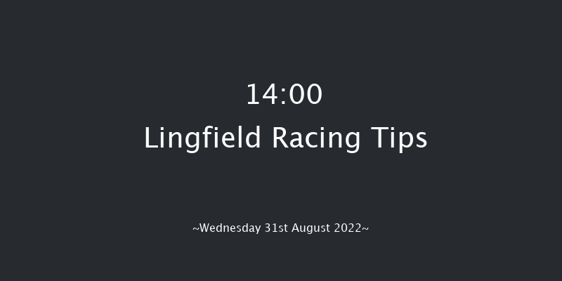 Lingfield 14:00 Stakes (Class 5) 5f Wed 24th Aug 2022