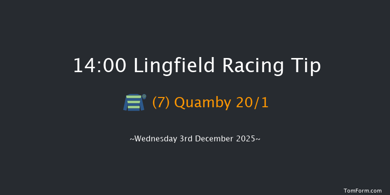Lingfield 14-00 (Class 2) 10f Tue 2nd Dec 2025