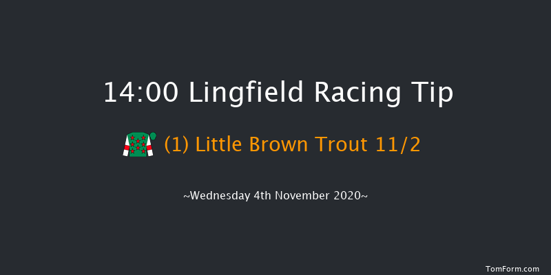 Read Katie Walsh On Betway Insider Handicap Lingfield 14:00 Handicap (Class 5) 6f Thu 29th Oct 2020