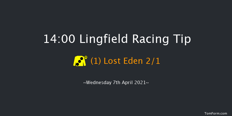 Free Tips Daily On attheraces.com Novice Stakes Lingfield 14:00 Stakes (Class 5) 10f Fri 2nd Apr 2021