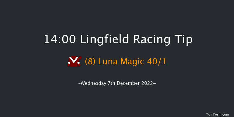 Lingfield 14:00 Handicap (Class 4) 12f Mon 5th Dec 2022