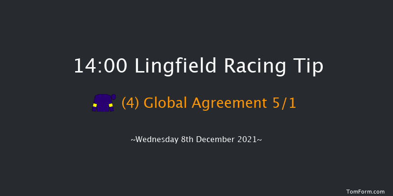 Lingfield 14:00 Handicap Hurdle (Class 4) 16f Wed 1st Dec 2021