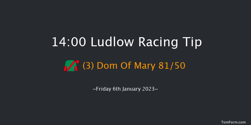 Ludlow 14:00 Handicap Chase (Class 4) 20f Tue 20th Dec 2022