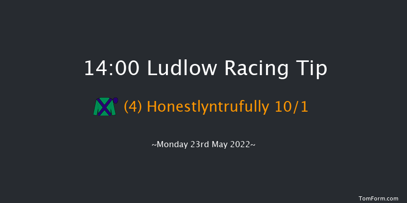 Ludlow 14:00 Handicap Hurdle (Class 5) 16f Sun 8th May 2022