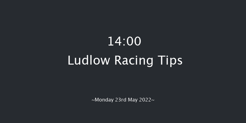 Ludlow 14:00 Handicap Hurdle (Class 5) 16f Sun 8th May 2022