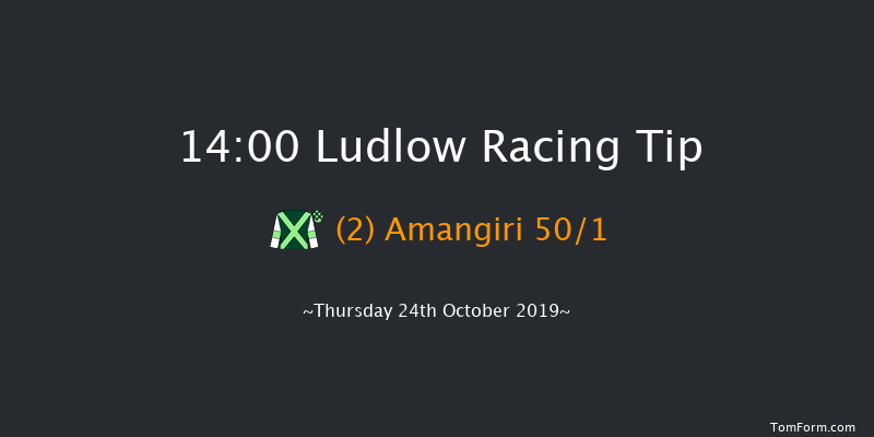 Ludlow 14:00 Maiden Hurdle (Class 4) 16f Wed 9th Oct 2019