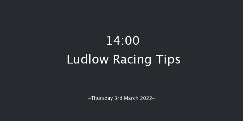 Ludlow 14:00 Handicap Chase (Class 3) 20f Wed 23rd Feb 2022