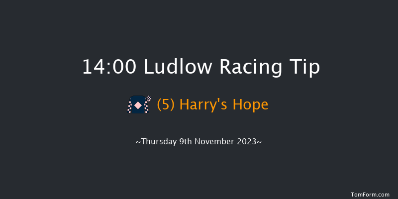 Ludlow 14:00 Maiden Hurdle (Class 4) 21f Thu 26th Oct 2023