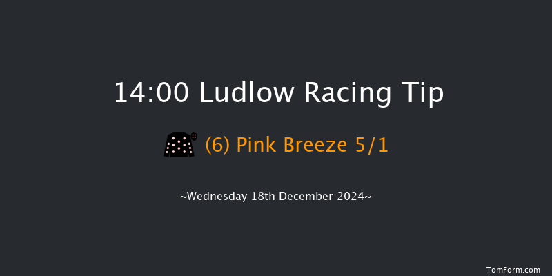 Ludlow  14:00 Conditions Hurdle (Class 4) 16f Wed 4th Dec 2024