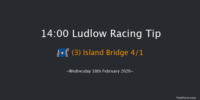 Ludlow 14-00 (Class 4) 23f Wed 4th Feb 2026