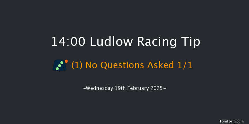 Ludlow  14:00 Maiden Hurdle (Class 4) 16f Wed 5th Feb 2025