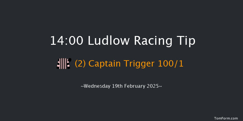 Ludlow  14:00 Maiden Hurdle (Class 4) 16f Wed 5th Feb 2025