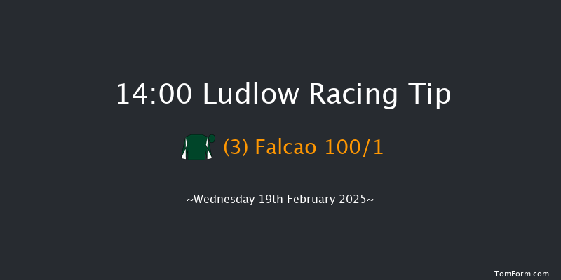 Ludlow  14:00 Maiden Hurdle (Class 4) 16f Wed 5th Feb 2025