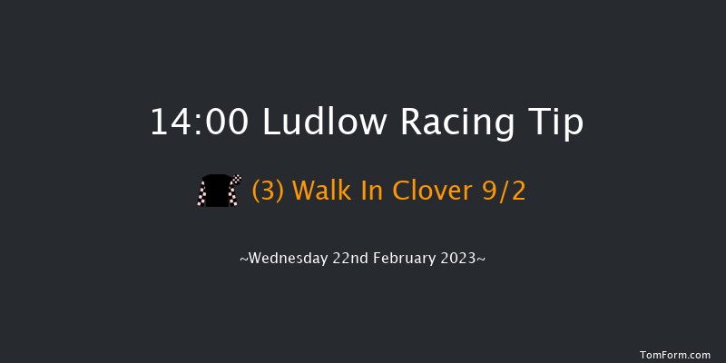 Ludlow 14:00 Maiden Chase (Class 3) 20f Fri 6th Jan 2023