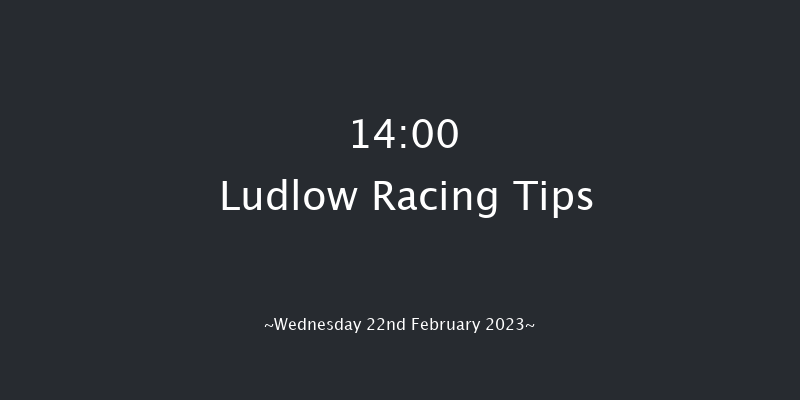 Ludlow 14:00 Maiden Chase (Class 3) 20f Fri 6th Jan 2023