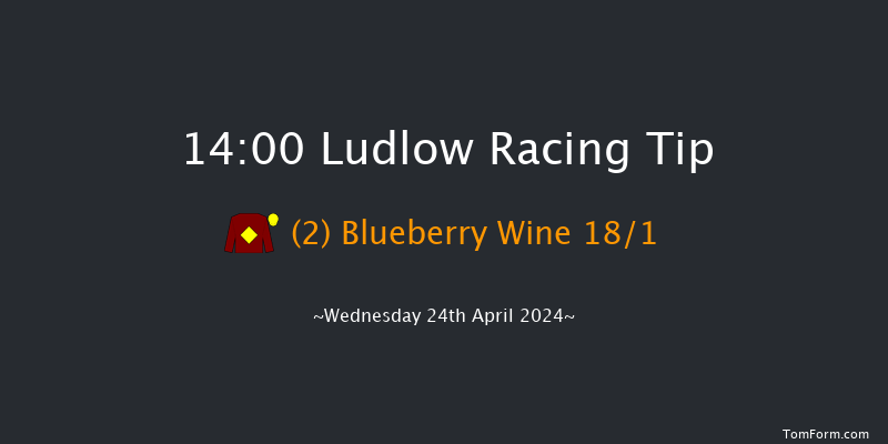 Ludlow  14:00 Maiden Hurdle (Class
4) 16f Tue 2nd Apr 2024