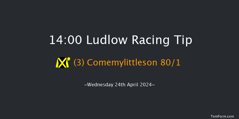 Ludlow  14:00 Maiden Hurdle (Class
4) 16f Tue 2nd Apr 2024