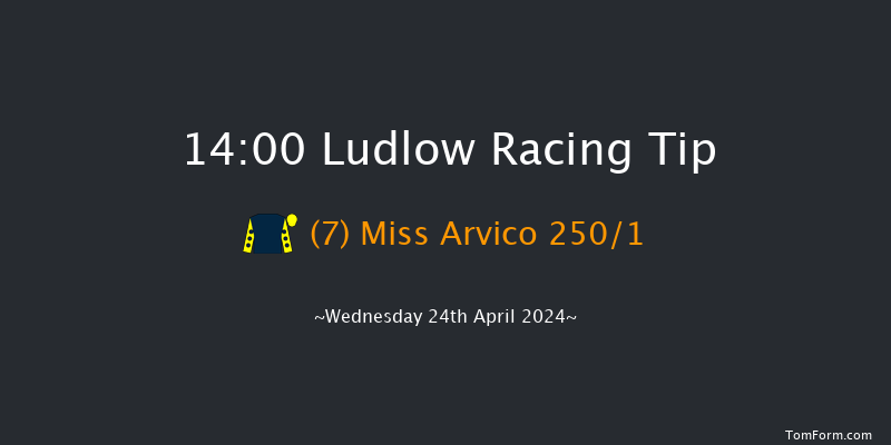 Ludlow  14:00 Maiden Hurdle (Class
4) 16f Tue 2nd Apr 2024