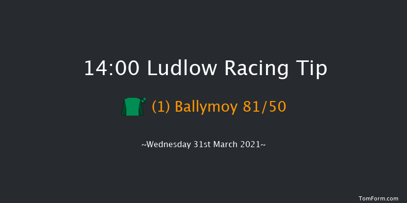 Boyne Cup (Handicap Chase) Ludlow 14:00 Handicap Chase (Class 3) 24f Thu 25th Mar 2021