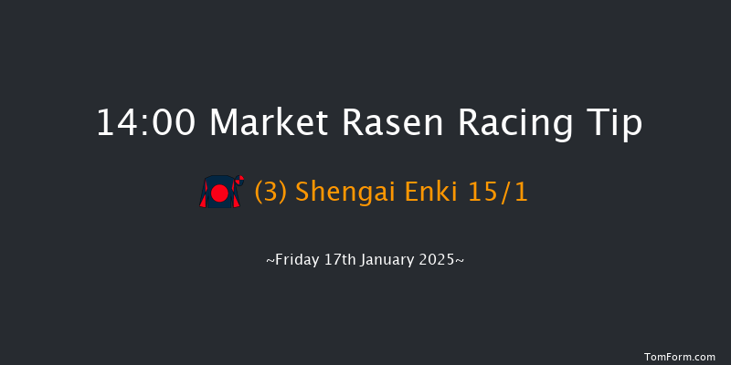Market Rasen  14:00 Handicap Hurdle (Class 4) 23f Thu 26th Dec 2024