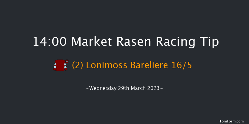 Market Rasen 14:00 Handicap Chase (Class 5) 17f Tue 21st Mar 2023