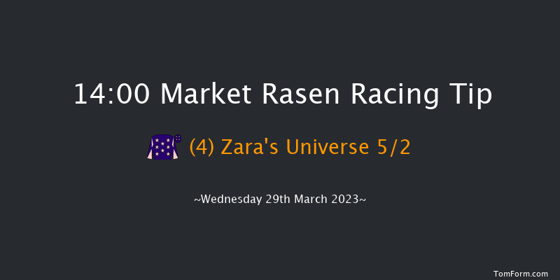 Market Rasen 14:00 Handicap Chase (Class 5) 17f Tue 21st Mar 2023