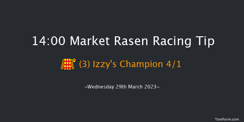 Market Rasen 14:00 Handicap Chase (Class 5) 17f Tue 21st Mar 2023