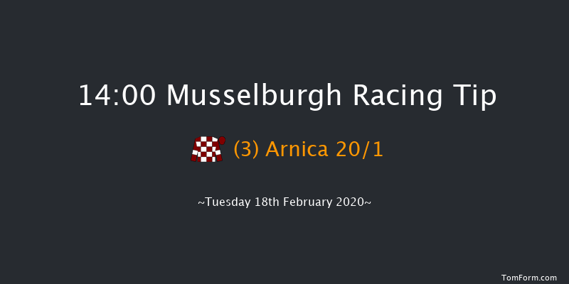 Racing Post GoNorth Weekend 20-22 March Novices' Hurdle Musselburgh 14:00 Maiden Hurdle (Class 
4) 20f Sun 2nd Feb 2020