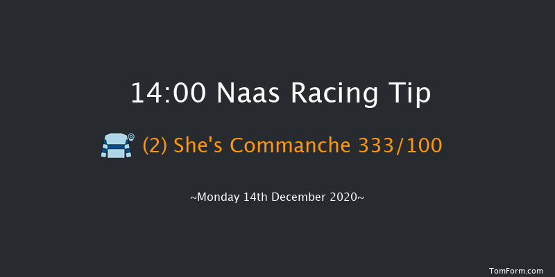 Lawlor's Of Naas Handicap Hurdle (80-95) Naas 14:00 Handicap Hurdle 19f Sat 21st Nov 2020