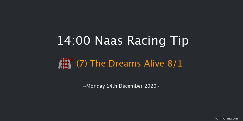 Lawlor's Of Naas Handicap Hurdle (80-95) Naas 14:00 Handicap Hurdle 19f Sat 21st Nov 2020