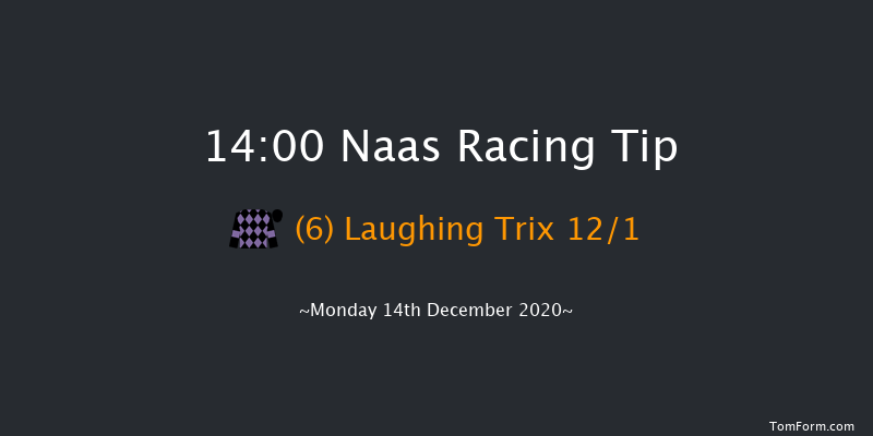 Lawlor's Of Naas Handicap Hurdle (80-95) Naas 14:00 Handicap Hurdle 19f Sat 21st Nov 2020