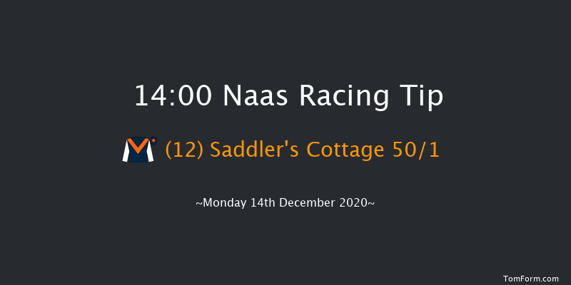 Lawlor's Of Naas Handicap Hurdle (80-95) Naas 14:00 Handicap Hurdle 19f Sat 21st Nov 2020