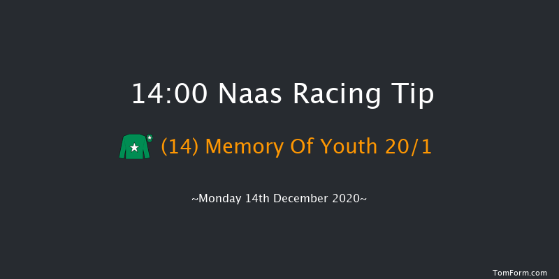 Lawlor's Of Naas Handicap Hurdle (80-95) Naas 14:00 Handicap Hurdle 19f Sat 21st Nov 2020