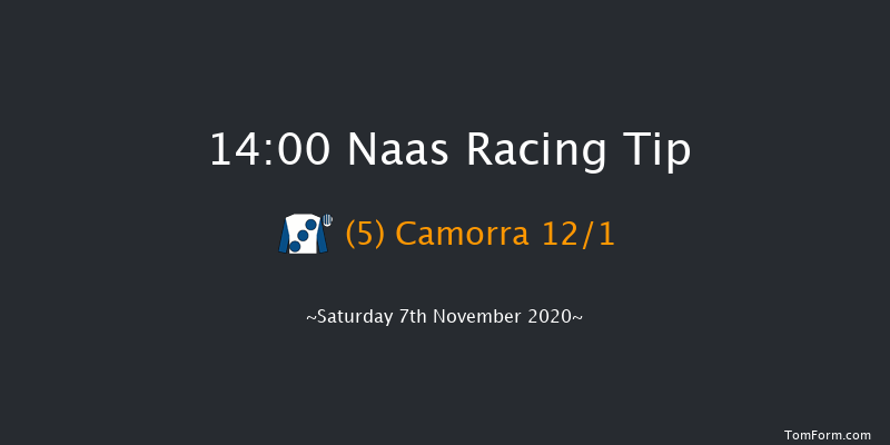 Naas November Handicap (Premier Handicap) Naas 14:00 Handicap 14f Sun 1st Nov 2020