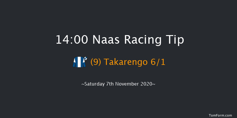 Naas November Handicap (Premier Handicap) Naas 14:00 Handicap 14f Sun 1st Nov 2020