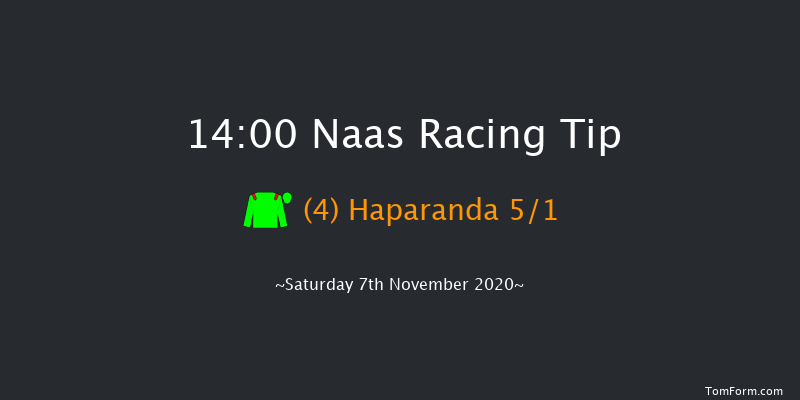Naas November Handicap (Premier Handicap) Naas 14:00 Handicap 14f Sun 1st Nov 2020