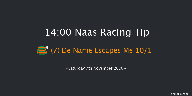 Naas November Handicap (Premier Handicap) Naas 14:00 Handicap 14f Sun 1st Nov 2020