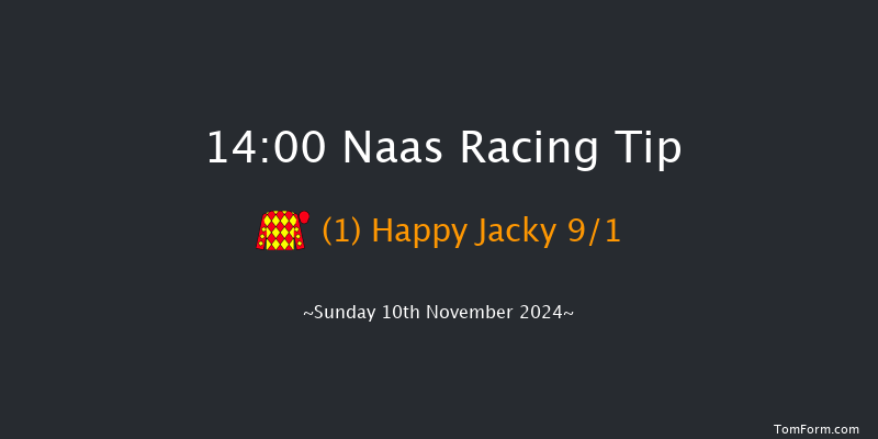 Naas  14:00 Handicap Hurdle 20f Sun 13th Oct 2024