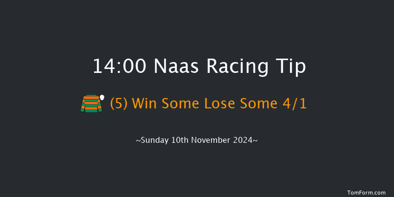 Naas  14:00 Handicap Hurdle 20f Sun 13th Oct 2024