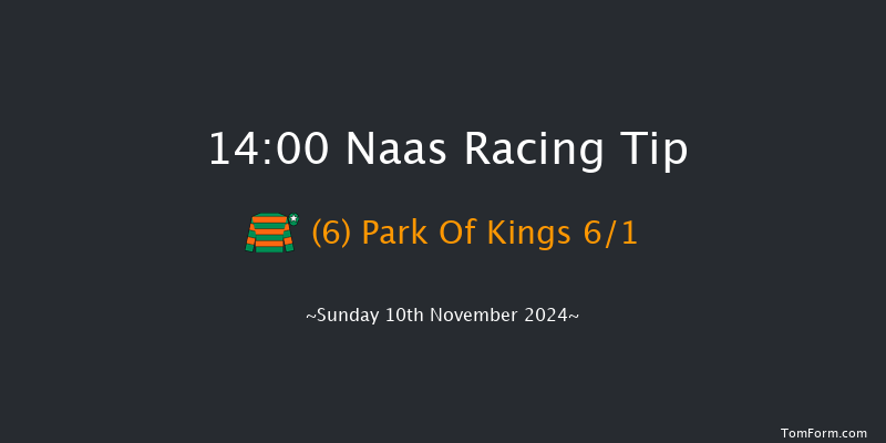 Naas  14:00 Handicap Hurdle 20f Sun 13th Oct 2024