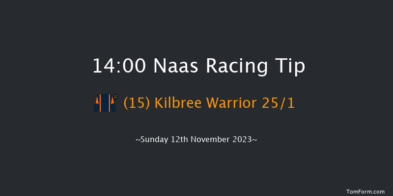Naas 14:00 Handicap Hurdle 20f Sun 15th Oct 2023