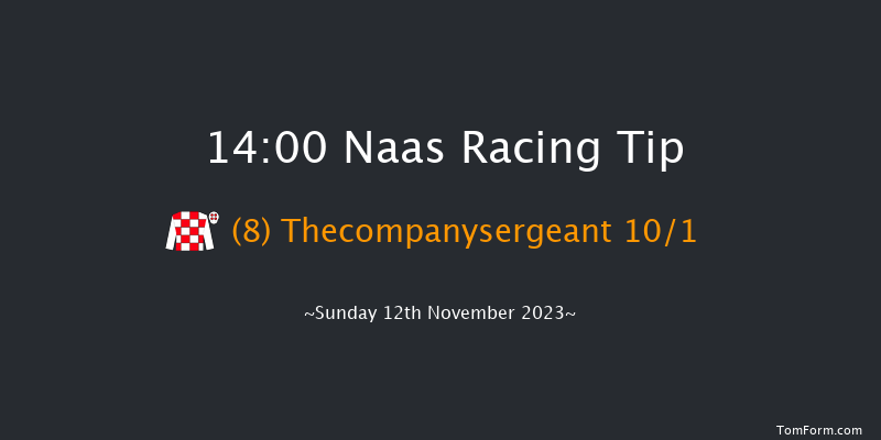 Naas 14:00 Handicap Hurdle 20f Sun 15th Oct 2023