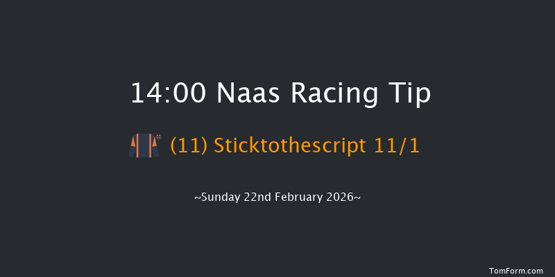Naas 14-00 15f Sat 7th Feb 2026