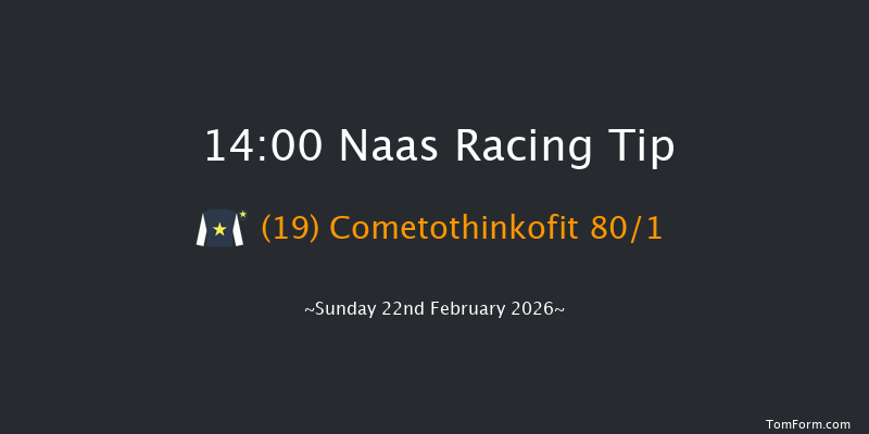 Naas 14-00 15f Sat 7th Feb 2026