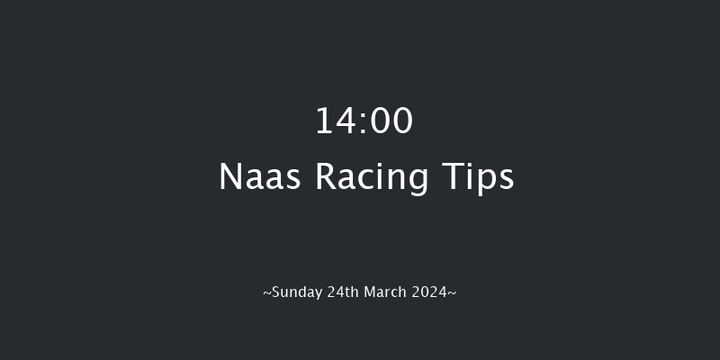 Naas  14:00 Stakes 8f Sun 10th Mar 2024