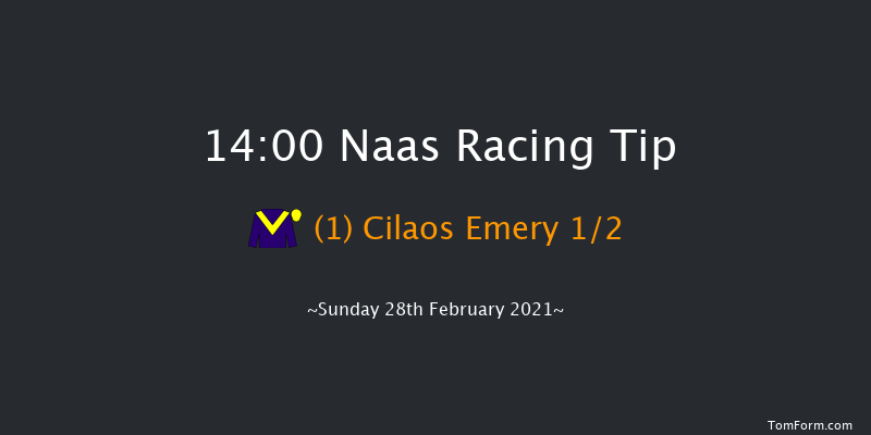 WhatOddsPaddy Chase (Grade 3) Naas 14:00 Conditions Chase 16f Sat 13th Feb 2021