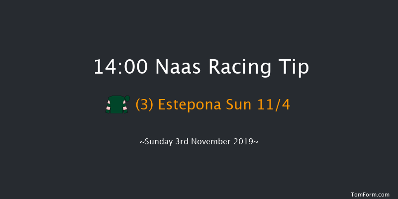 Naas 14:00 Handicap 7f Sun 20th Oct 2019