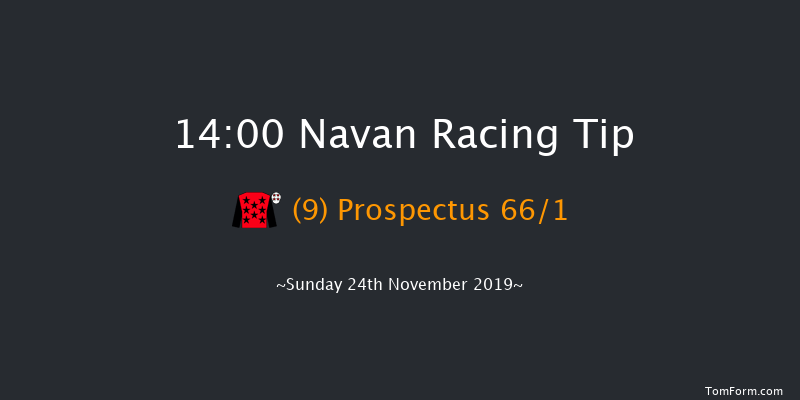 Navan 14:00 Maiden Chase 17f Sun 10th Nov 2019